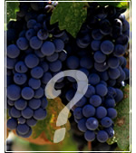 Wine Selections